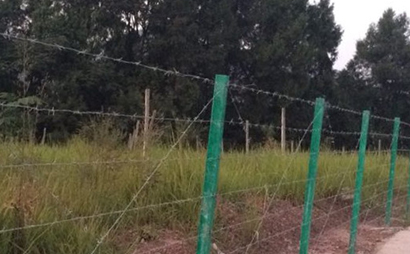 高速公路刺鋼絲隔離柵 高速公路刺鋼絲隔離柵