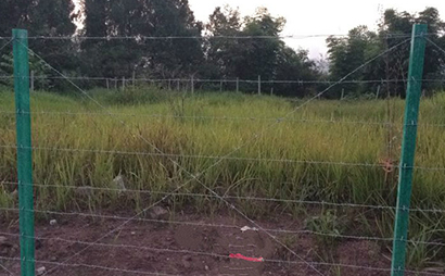 圈地刺鐵絲圍欄 圈地刺鐵絲圍欄