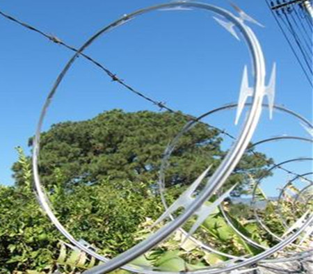 刀片刺網.jpg 刀片刺網.jpg