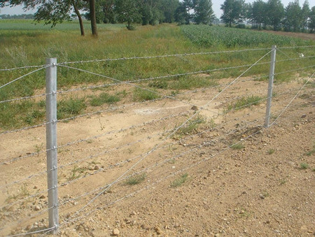 刺繩圍欄網.jpg 刺繩圍欄網.jpg