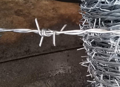 熱鍍鋅刺繩.jpg 熱鍍鋅刺繩.jpg