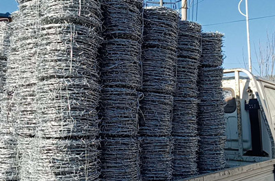 熱鍍鋅刺繩.jpg 熱鍍鋅刺繩.jpg