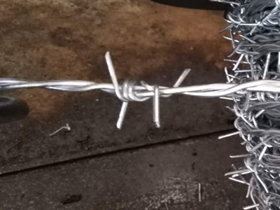 熱鍍鋅刺繩.jpg 熱鍍鋅刺繩.jpg