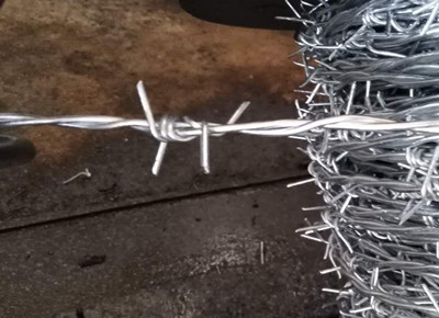 熱鍍鋅刺繩.jpg 熱鍍鋅刺繩.jpg