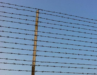 熱鍍鋅刺繩.jpg 熱鍍鋅刺繩.jpg