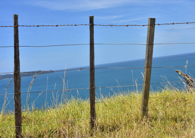 池塘刺繩.jpg 池塘刺繩.jpg