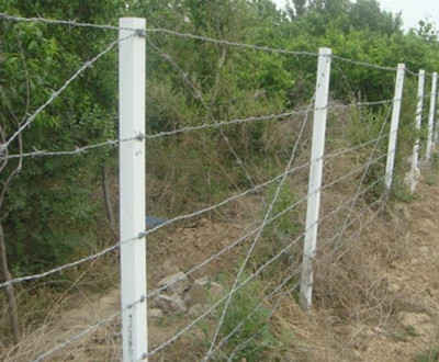刺繩圍欄.jpg 刺繩圍欄.jpg