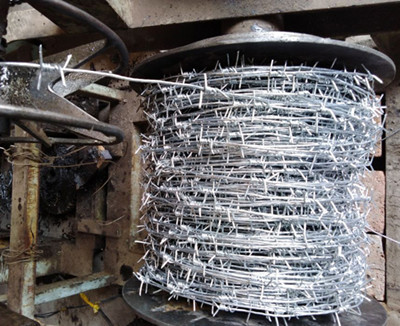 單股刺繩.jpg 單股刺繩.jpg