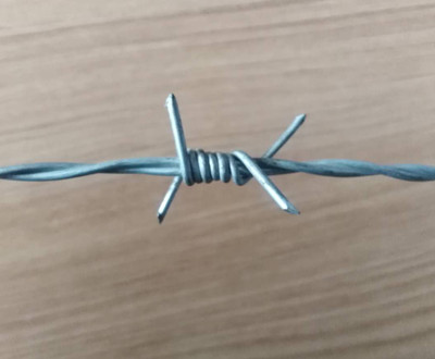 熱鍍鋅刺繩.jpg 熱鍍鋅刺繩.jpg