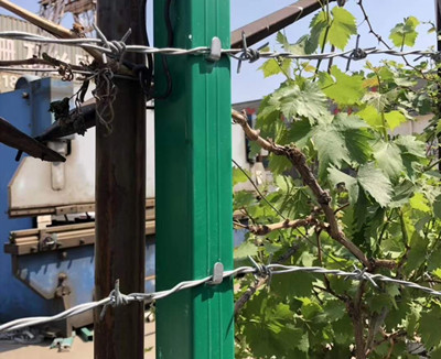 刺繩 立柱.jpg 刺繩 立柱.jpg