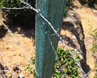 刺鐵絲.jpg 刺鐵絲.jpg