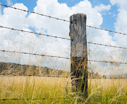 刺鐵絲.jpg 刺鐵絲.jpg