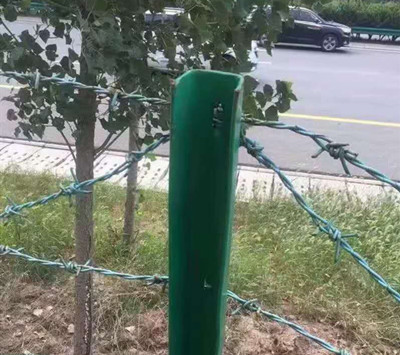 刺鐵絲.jpg 刺鐵絲.jpg