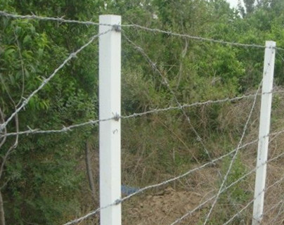 刺鐵絲.jpg 刺鐵絲.jpg