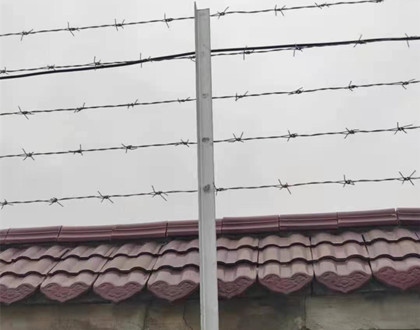刺鋼絲網(wǎng).jpg 刺鋼絲網(wǎng).jpg
