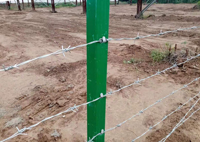 普通型刺鋼絲.jpg 普通型刺鋼絲.jpg