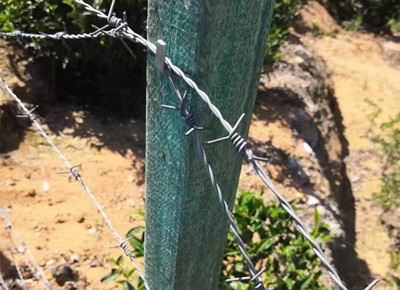 加強型刺鋼絲.jpg 加強型刺鋼絲.jpg