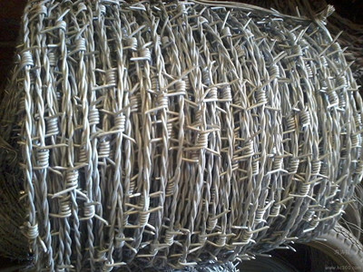 1.7mm刺鋼絲.jpg 1.7mm刺鋼絲.jpg