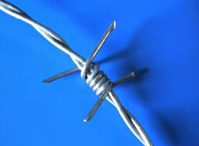 刺鋼絲網(wǎng).jpg 刺鋼絲網(wǎng).jpg