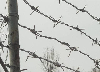 刺鋼絲.jpg 刺鋼絲.jpg