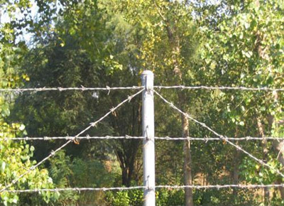 刺鐵絲.jpg 刺鐵絲.jpg