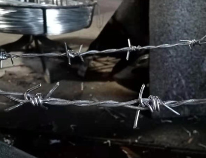 刺鋼絲網.jpg 刺鋼絲網.jpg