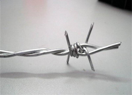 刺鐵絲.jpg 刺鐵絲.jpg