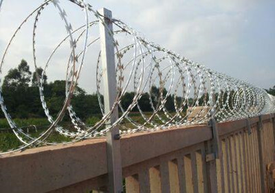 圖片.jpg 圖片.jpg