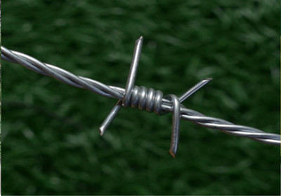 刺鐵絲網.jpg 刺鐵絲網.jpg