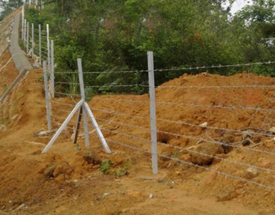 公路刺鐵絲網(wǎng).jpg 公路刺鐵絲網(wǎng).jpg