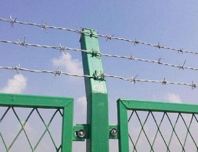 刺鐵絲網.jpg