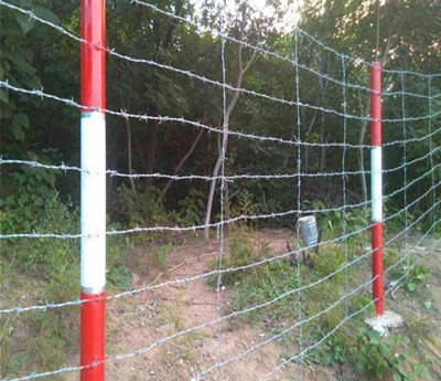 刺繩.jpg 刺繩.jpg