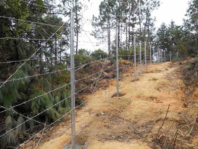 刺繩.jpg 刺繩.jpg