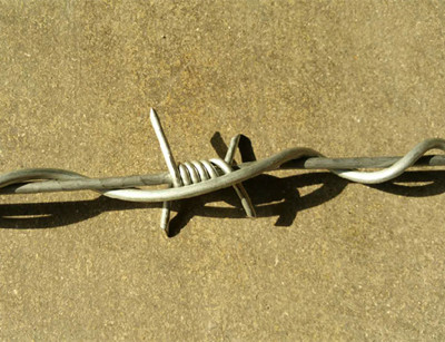 刺鐵絲網(wǎng).jpg 刺鐵絲網(wǎng).jpg