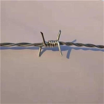 刺鐵絲網.jpg 刺鐵絲網.jpg